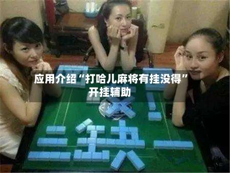 应用介绍“打哈儿麻将有挂没得”开挂辅助-第2张图片