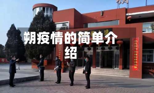 朔疫情的简单介绍-第3张图片