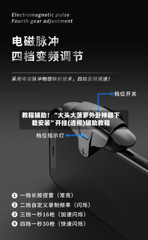 教程辅助！“大头大菠萝外卦神器下载安装”开挂(透视)辅助教程-第3张图片