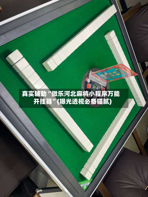 真实辅助“微乐河北麻将小程序万能开挂器	”(曝光透视必备猫腻)-第1张图片