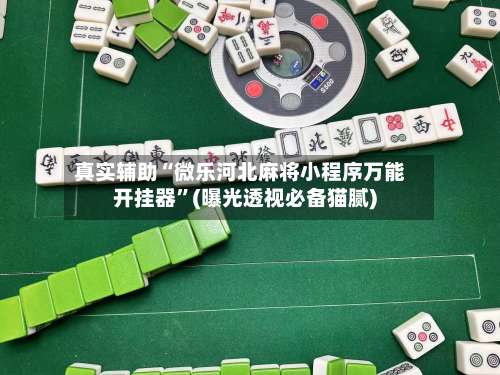 真实辅助“微乐河北麻将小程序万能开挂器”(曝光透视必备猫腻)-第2张图片