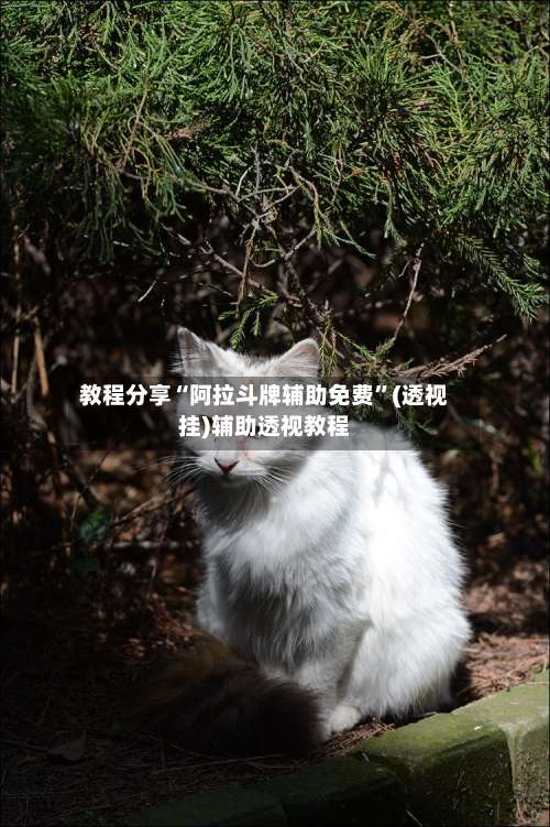 教程分享“阿拉斗牌辅助免费	”(透视挂)辅助透视教程-第1张图片