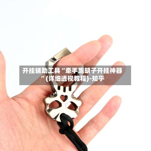 开挂辅助工具“牵手跑胡子开挂神器”(详细透视教程)-知乎-第1张图片