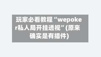 玩家必看教程“wepoker私人局开挂透视”(原来确实是有插件)-第2张图片