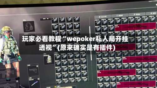 玩家必看教程“wepoker私人局开挂透视”(原来确实是有插件)-第3张图片