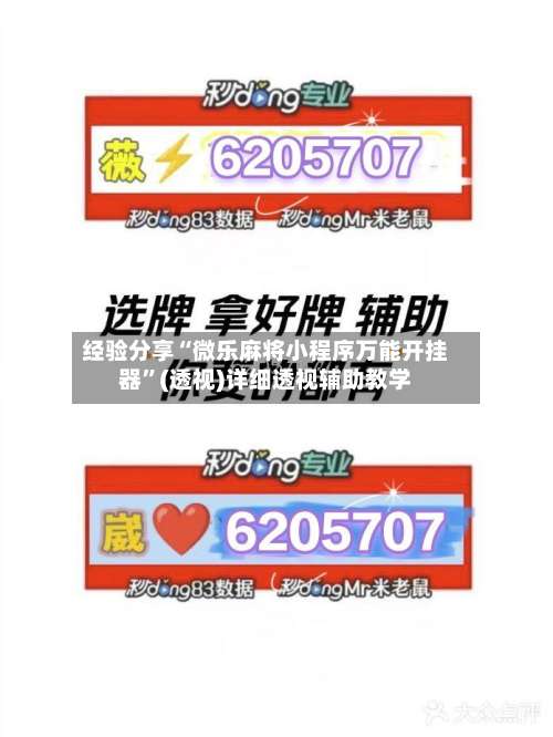 经验分享“微乐麻将小程序万能开挂器	”(透视)详细透视辅助教学-第1张图片