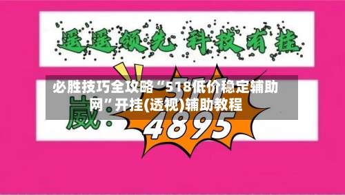 必胜技巧全攻略“518低价稳定辅助网”开挂(透视)辅助教程-第3张图片