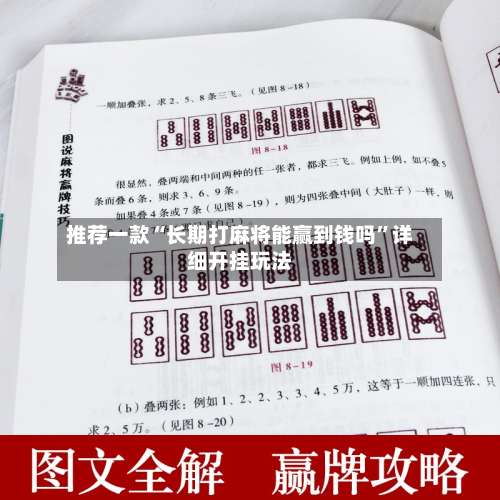 推荐一款“长期打麻将能赢到钱吗”详细开挂玩法-第2张图片