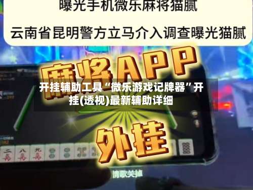 开挂辅助工具“微乐游戏记牌器”开挂(透视)最新辅助详细-第1张图片