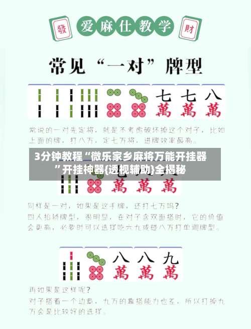 3分钟教程“微乐家乡麻将万能开挂器”开挂神器{透视辅助}全揭秘-第1张图片