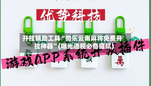 开挂辅助工具“微乐云南麻将免费开挂神器”(曝光透视必备猫腻)-第3张图片