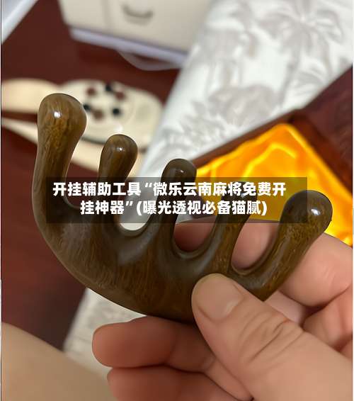 开挂辅助工具“微乐云南麻将免费开挂神器	”(曝光透视必备猫腻)-第2张图片