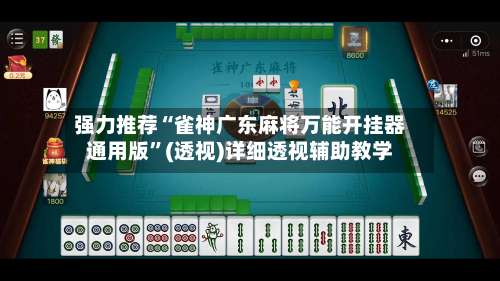强力推荐“雀神广东麻将万能开挂器通用版”(透视)详细透视辅助教学-第2张图片