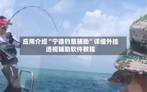 应用介绍“宁德钓蟹辅助	”详细外挂透视辅助软件教程-第2张图片