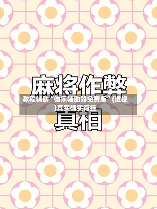 教程辅助“微乐辅助器免费版”(透视)其实确实有挂-第1张图片