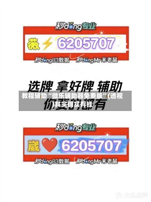 教程辅助“微乐辅助器免费版”(透视)其实确实有挂-第2张图片