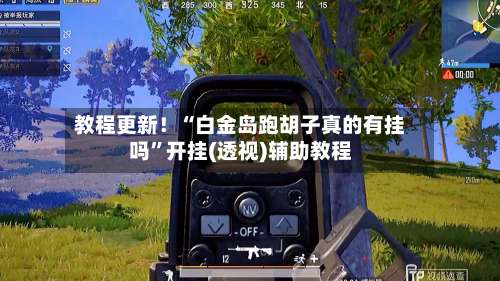 教程更新！“白金岛跑胡子真的有挂吗”开挂(透视)辅助教程-第1张图片