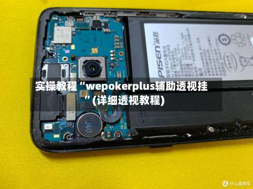 实操教程“wepokerplus辅助透视挂”(详细透视教程)-第1张图片