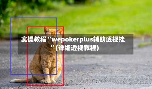 实操教程“wepokerplus辅助透视挂”(详细透视教程)-第2张图片