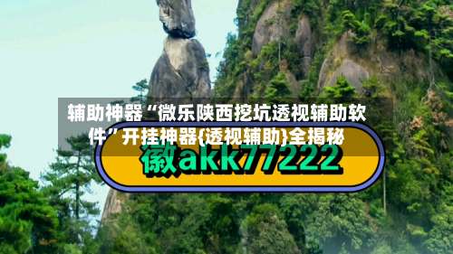 辅助神器“微乐陕西挖坑透视辅助软件”开挂神器{透视辅助}全揭秘-第2张图片