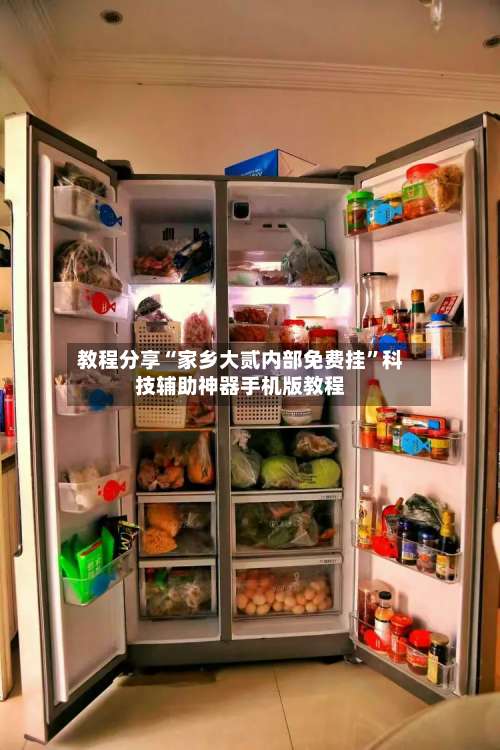 教程分享“家乡大贰内部免费挂”科技辅助神器手机版教程-第2张图片