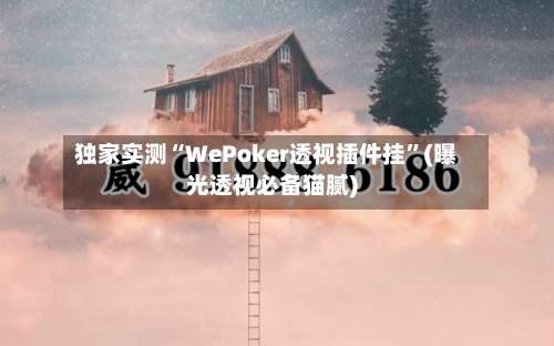 独家实测“WePoker透视插件挂	”(曝光透视必备猫腻)-第2张图片