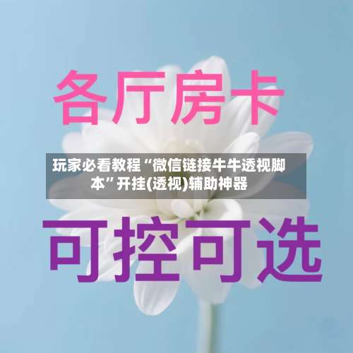 玩家必看教程“微信链接牛牛透视脚本	”开挂(透视)辅助神器-第2张图片