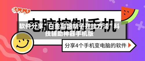 软件分享“白金岛跑胡子开挂方法”科技辅助神器手机版-第3张图片