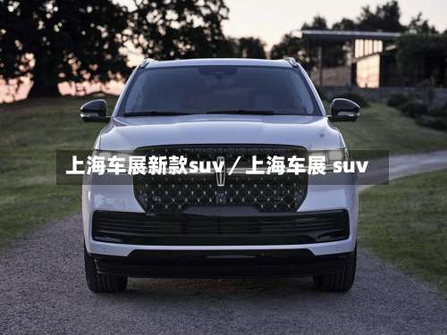 上海车展新款suv/上海车展 suv-第2张图片