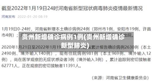 贵州新增确诊病例1例(贵州新增确诊新型肺炎)-第2张图片