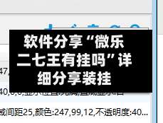 软件分享“微乐二七王有挂吗”详细分享装挂-第3张图片
