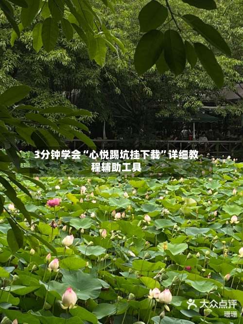 3分钟学会“心悦踢坑挂下载	”详细教程辅助工具-第1张图片