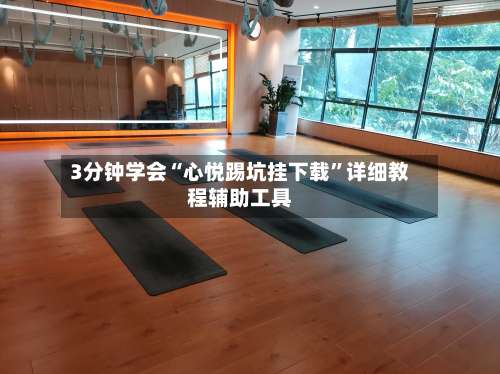 3分钟学会“心悦踢坑挂下载”详细教程辅助工具-第2张图片