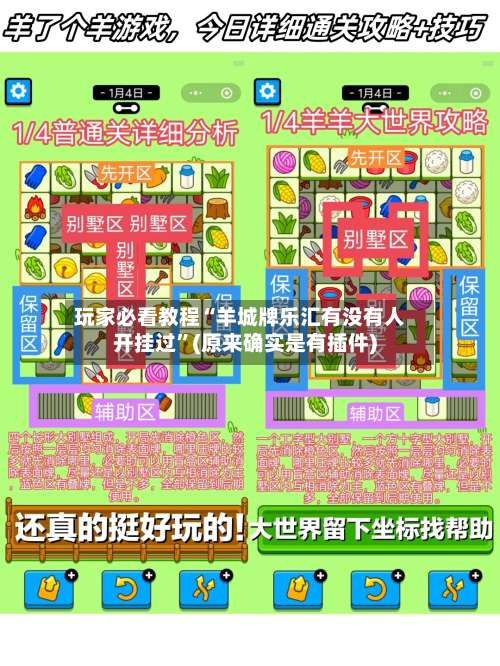 玩家必看教程“羊城牌乐汇有没有人开挂过	”(原来确实是有插件)-第1张图片