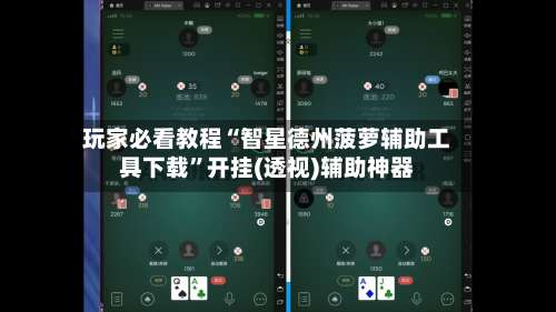 玩家必看教程“智星德州菠萝辅助工具下载”开挂(透视)辅助神器-第2张图片