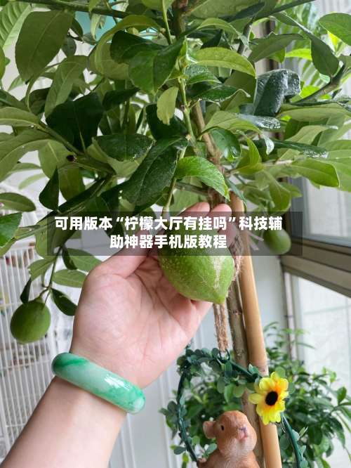 可用版本“柠檬大厅有挂吗”科技辅助神器手机版教程-第1张图片