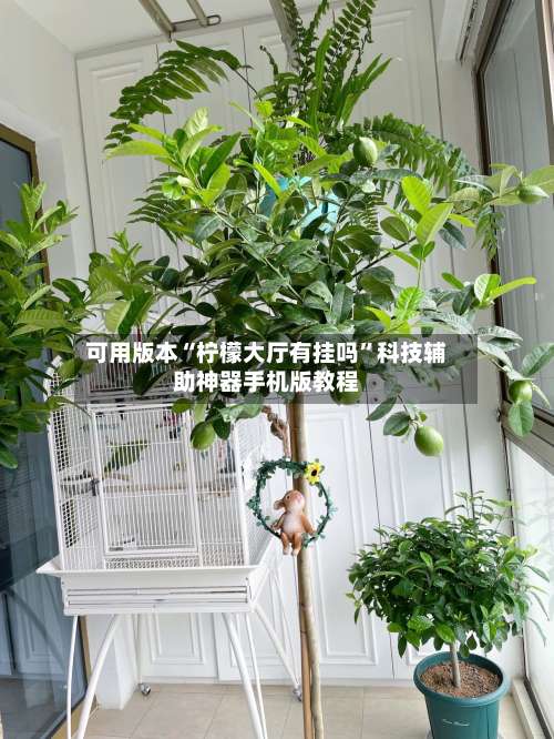 可用版本“柠檬大厅有挂吗”科技辅助神器手机版教程-第2张图片