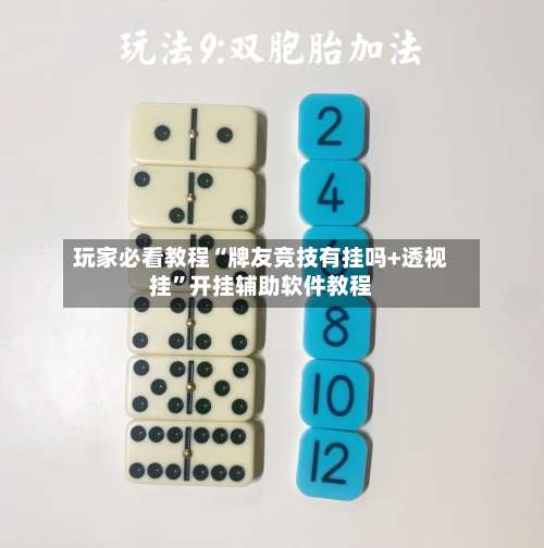 玩家必看教程“牌友竞技有挂吗+透视挂”开挂辅助软件教程-第1张图片