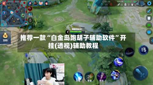 推荐一款“白金岛跑胡子辅助软件	”开挂(透视)辅助教程-第2张图片