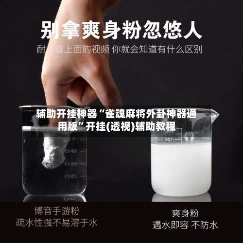 辅助开挂神器“雀魂麻将外卦神器通用版”开挂(透视)辅助教程-第2张图片