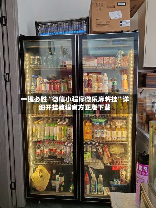 一键必胜“微信小程序微乐麻将挂”详细开挂教程官方正版下载-第3张图片