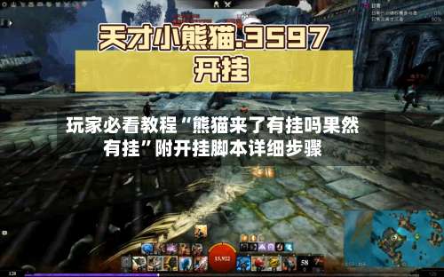 玩家必看教程“熊猫来了有挂吗果然有挂”附开挂脚本详细步骤-第2张图片