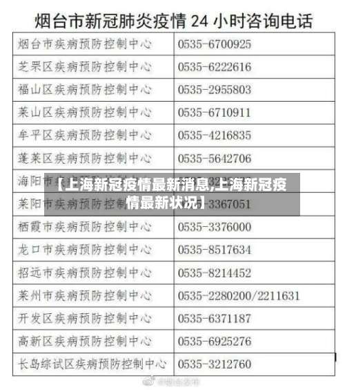 【上海新冠疫情最新消息,上海新冠疫情最新状况】-第2张图片