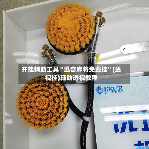 开挂辅助工具“迅奇麻将免费挂”(透视挂)辅助透视教程-第2张图片