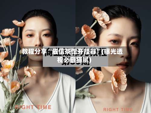 教程分享“威信茶馆开挂器”(曝光透视必备猫腻)-第2张图片