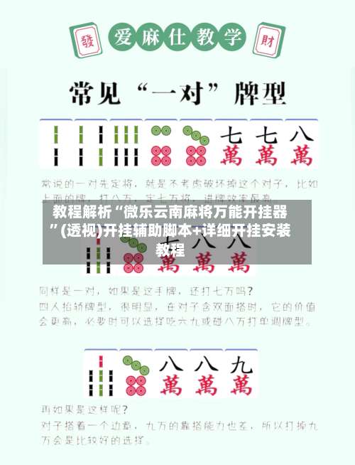 教程解析“微乐云南麻将万能开挂器”(透视)开挂辅助脚本+详细开挂安装教程-第3张图片