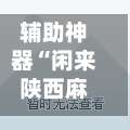 辅助神器“闲来陕西麻将万能开挂神器	”通用版下载教程！-第2张图片