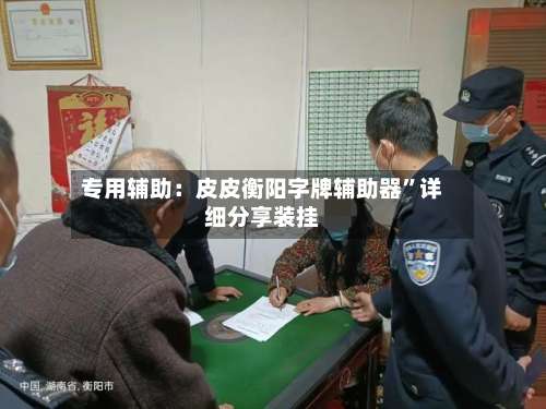 专用辅助：皮皮衡阳字牌辅助器”详细分享装挂-第3张图片