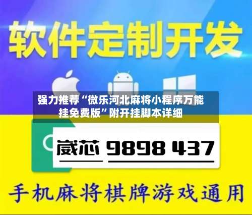 强力推荐“微乐河北麻将小程序万能挂免费版”附开挂脚本详细-第2张图片