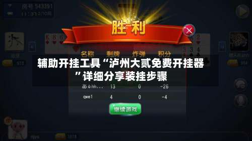 辅助开挂工具“泸州大贰免费开挂器”详细分享装挂步骤-第1张图片